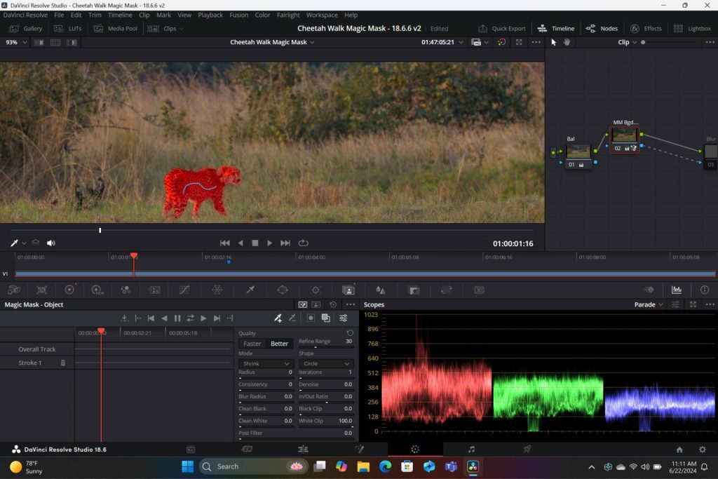 DaVinci-Resolve-Studio-Magic-Mask-scaled