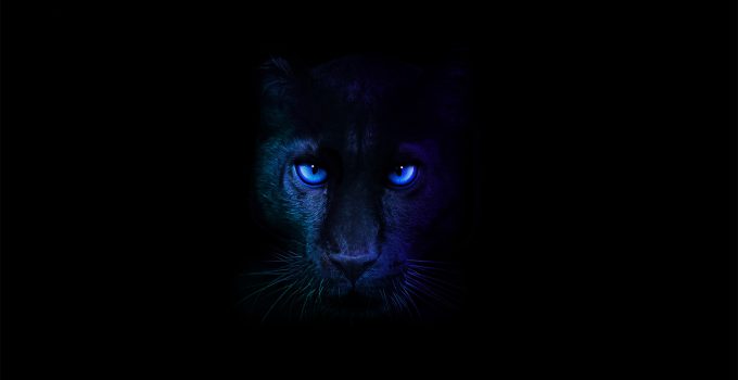 Intel Panther Lake